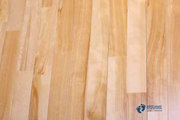 楓樺木運(yùn)動(dòng)體育地板維護(hù)保養(yǎng)