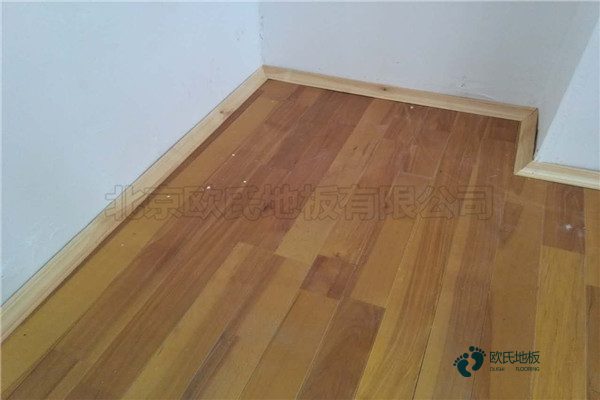 楓木材質(zhì)為什么適宜籃球場(chǎng)館地鋪