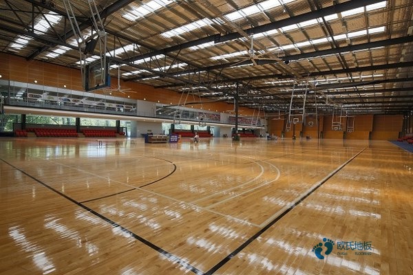 運(yùn)動(dòng)木地板采購要防止這些問題