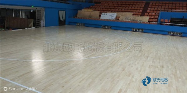 常見的運(yùn)動(dòng)木地板材料有哪些？