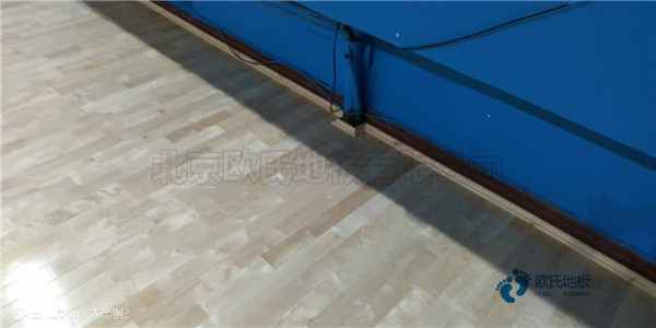 常見的運(yùn)動(dòng)木地板材料有哪些？