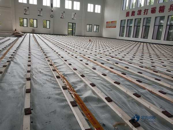 性價比高的運動木地板產(chǎn)品有什么特點