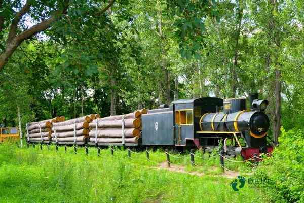 學?；@球場館木地板哪里買好1