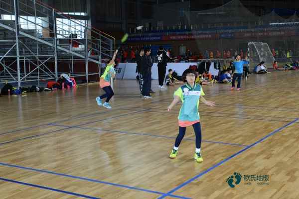 國標(biāo)運(yùn)動籃球木地板價(jià)格便宜