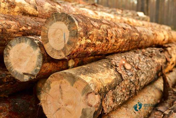 好用的運(yùn)動(dòng)籃球木地板多少錢能下來