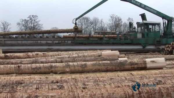 籃球場木地板施工工藝2