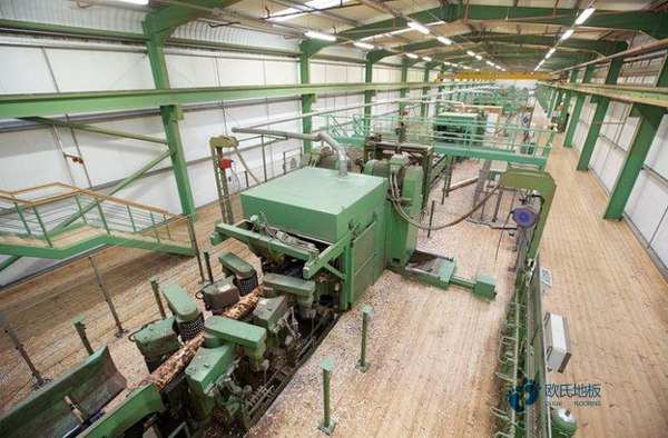 籃球場木地板施工單位2