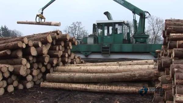 學(xué)校籃球場(chǎng)館地板耐磨系數(shù)1