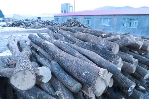 校園運動籃球木地板價格多少錢