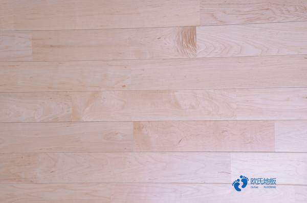 室內(nèi)體育運(yùn)動(dòng)木地板2