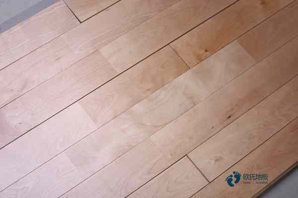 籃球場木地板尺寸3