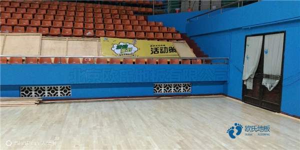 體育運(yùn)動木地板品牌大全3