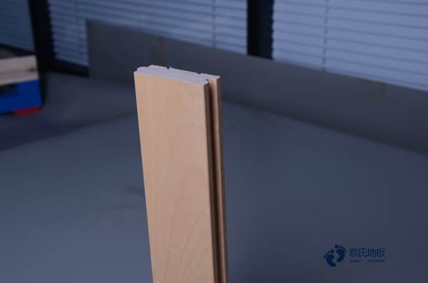 常用運(yùn)動地板品牌哪個好3