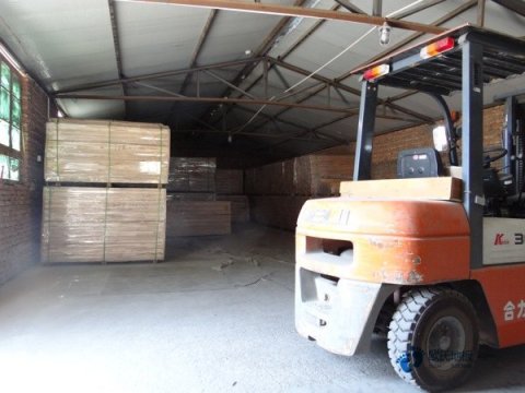 室內木地板籃球場造價