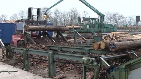 籃球場木地板施工廠家1